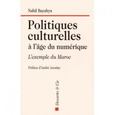 Politiques culturelles à l'âge du numérique